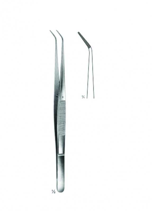 Delicate Dissecting Forceps